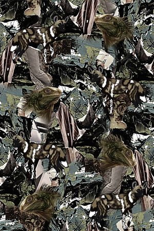 蜥蜴印花华亿平台图片