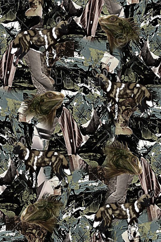 蜥蜴印花华亿平台图片