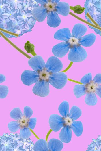 旗袍印花华亿平台图片