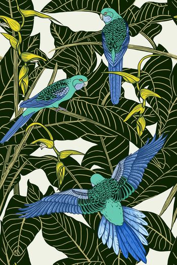 923836-2017 826 配色