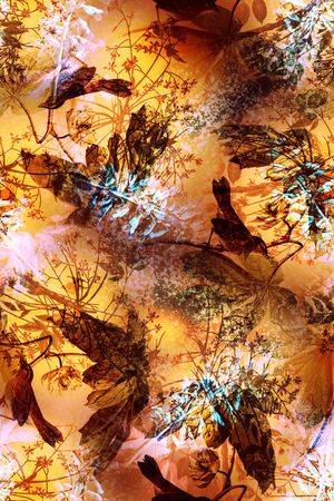 炫彩印花华亿平台图片