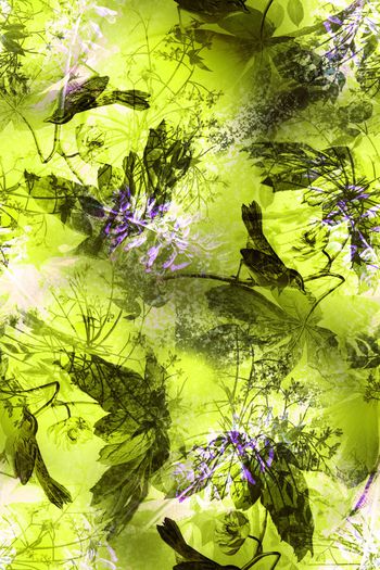 923864-20170826 forest-1