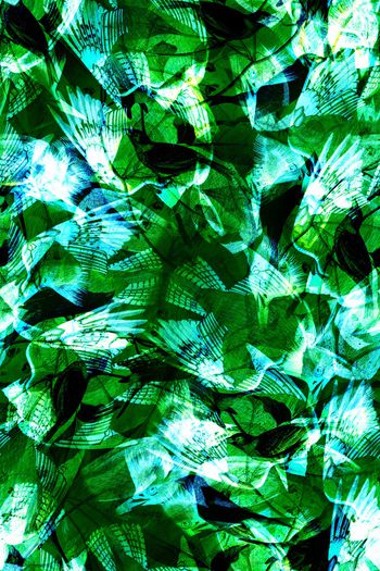 923889-20170826 forest3-