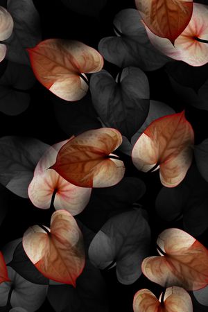 潮牌印花华亿平台图片