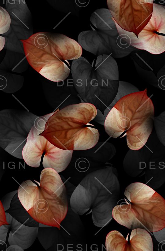 潮牌印花华亿平台图片