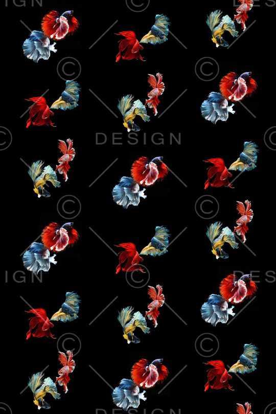 动物印花华亿平台图片