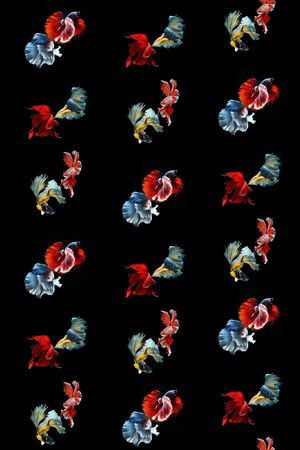 动物印花华亿平台图片