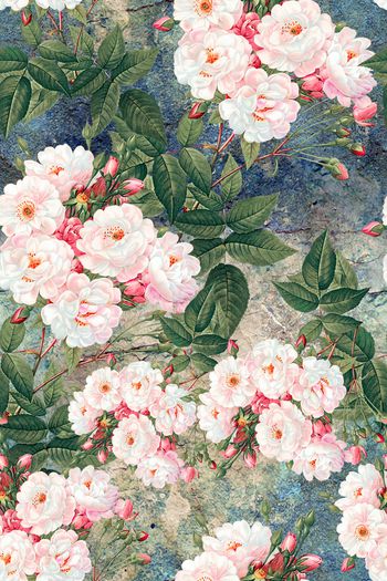 植物印花华亿平台图片