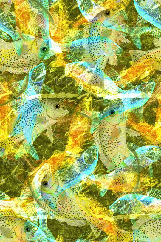 大花印花华亿平台图片