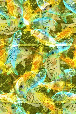 大花印花华亿平台图片