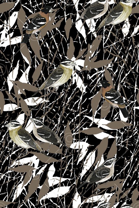 鸟印花华亿平台图片