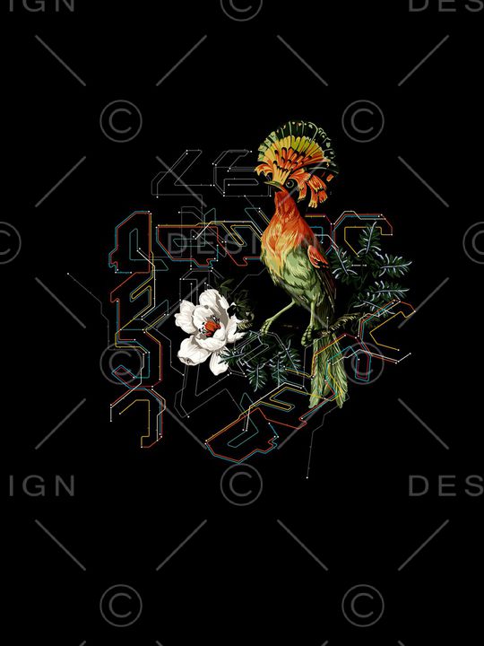 鸟印花华亿平台图片