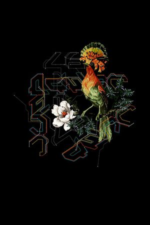 鸟印花华亿平台图片