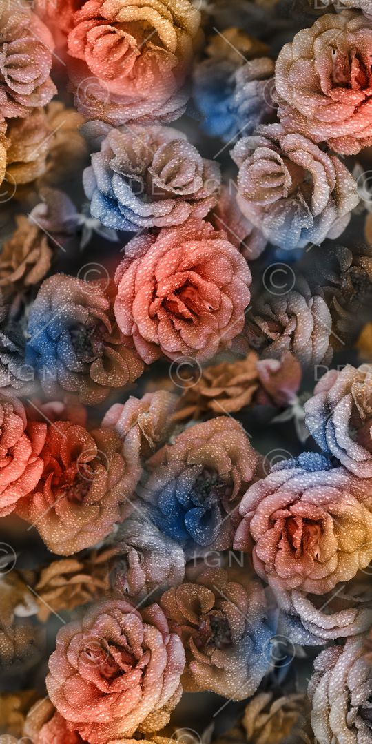 数码华亿平台印花华亿平台图片