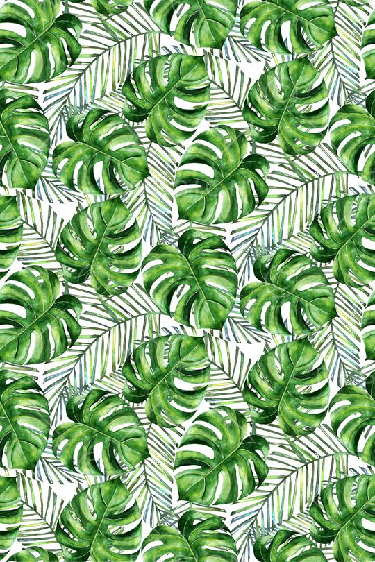 棕榈树印花华亿平台图片