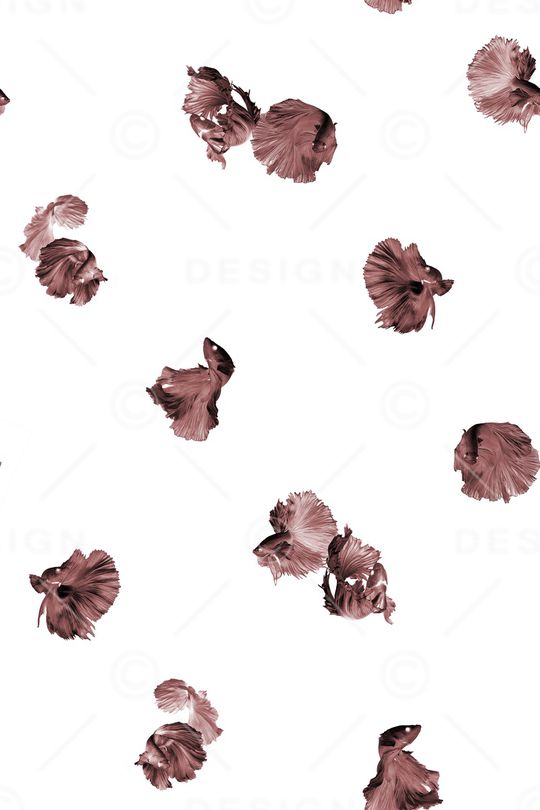 动物印花华亿平台图片