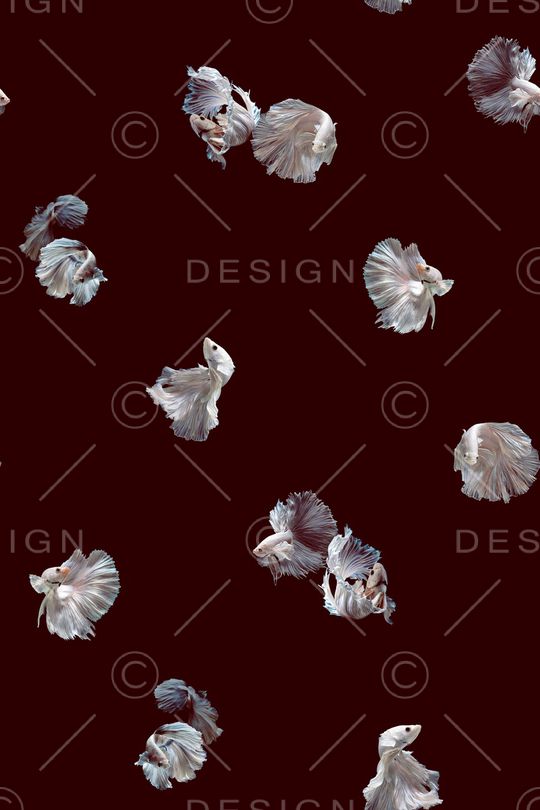 动物印花华亿平台图片