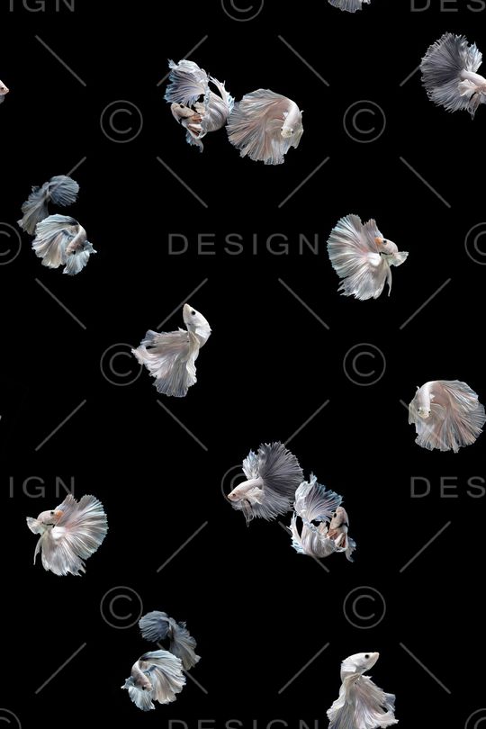 动物印花华亿平台图片