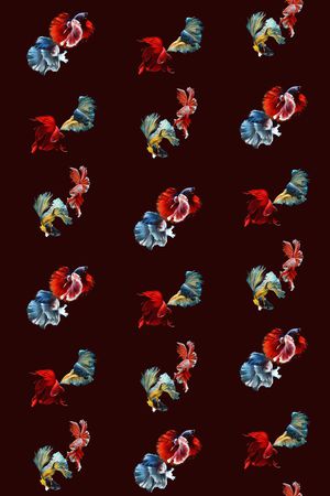 动物印花华亿平台图片