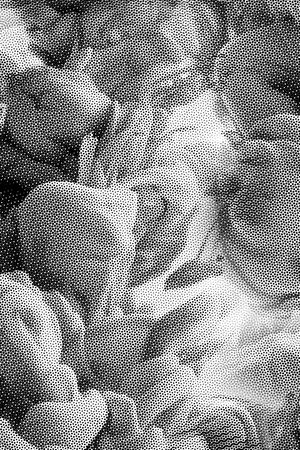 数码华亿平台印花华亿平台图片