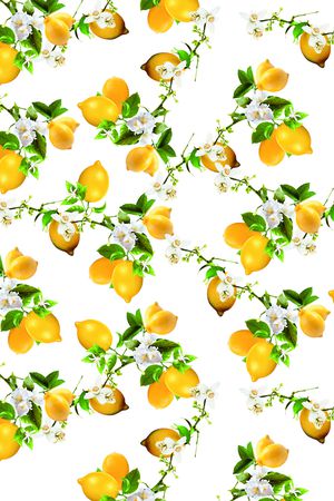 大衣印花华亿平台图片