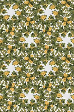 中老年印花华亿平台图片