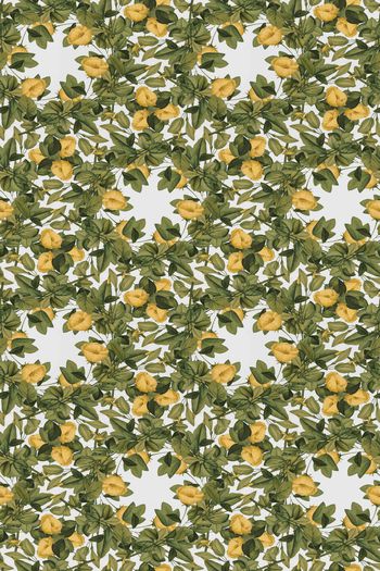 中老年印花华亿平台图片