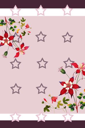 星星印花华亿平台图片