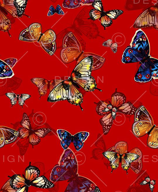 昆虫印花华亿平台图片