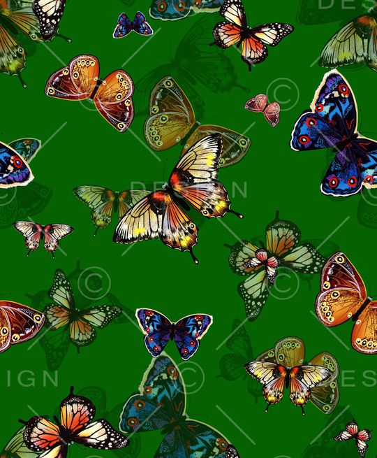 昆虫印花华亿平台图片