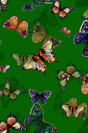 昆虫印花华亿平台图片