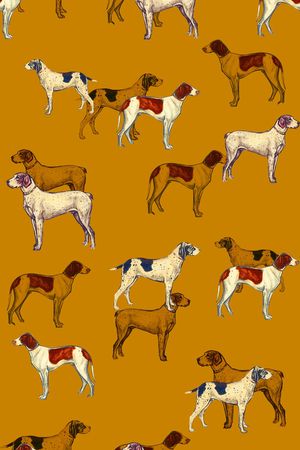 动物印花华亿平台图片