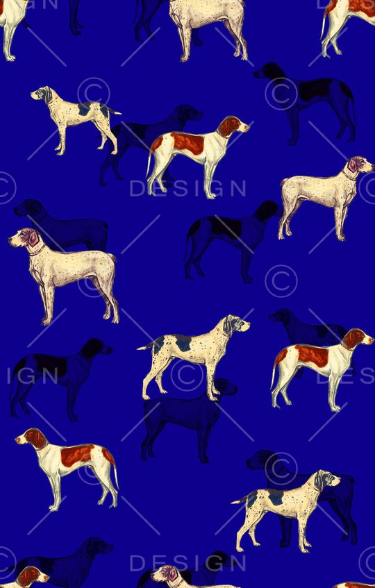 动物印花华亿平台图片