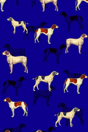 动物印花华亿平台图片