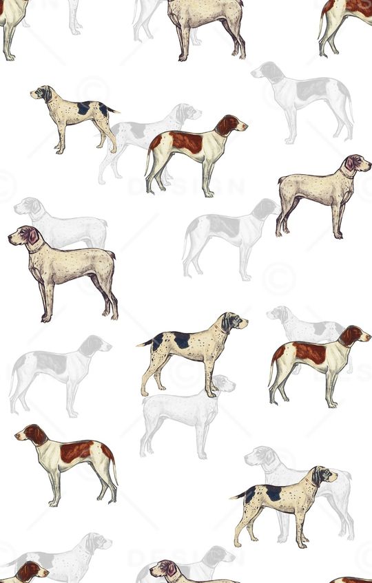 动物印花华亿平台图片