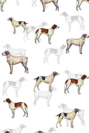 动物印花华亿平台图片