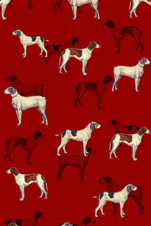 动物印花华亿平台图片