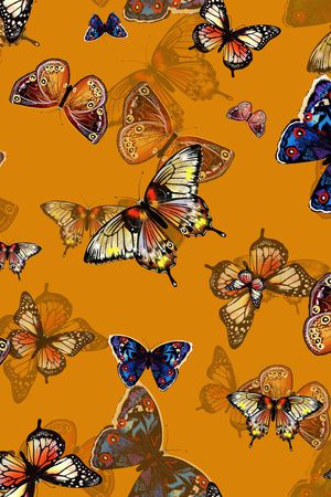 昆虫印花华亿平台图片