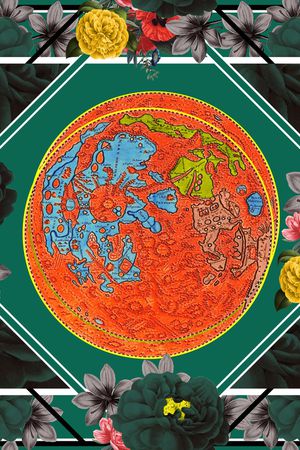 地中海印花华亿平台图片