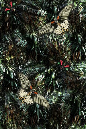 男装印花华亿平台图片