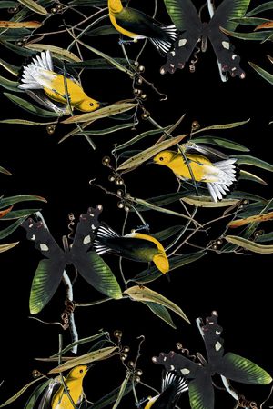 鸟印花华亿平台图片