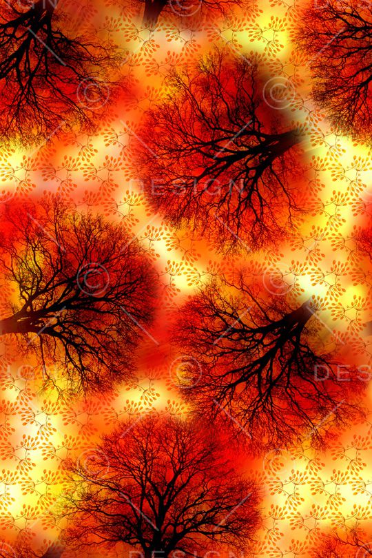 树枝印花华亿平台图片