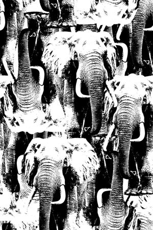 男装印花华亿平台图片