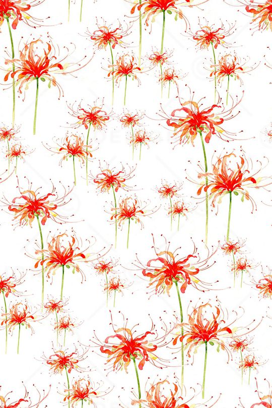 蒲公英印花华亿平台图片