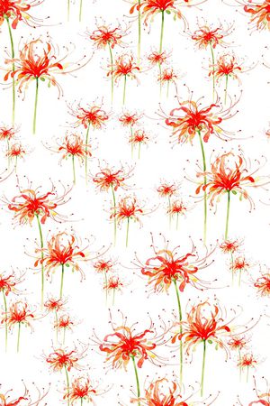 蒲公英印花华亿平台图片