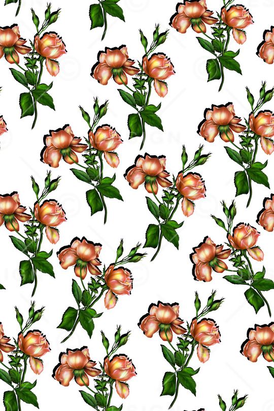 玫瑰花印花华亿平台图片