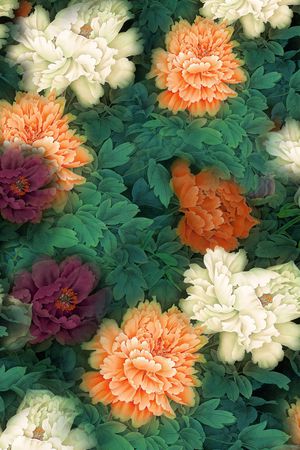 大花印花华亿平台图片