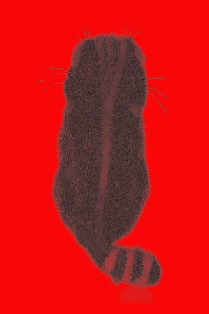 猫印花华亿平台图片