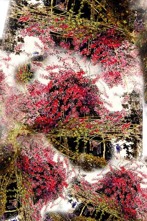 夹克印花华亿平台图片