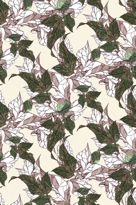 线条印花华亿平台图片